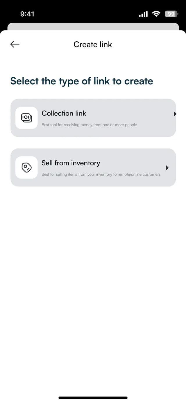 The business app asking which kind of payment link to create