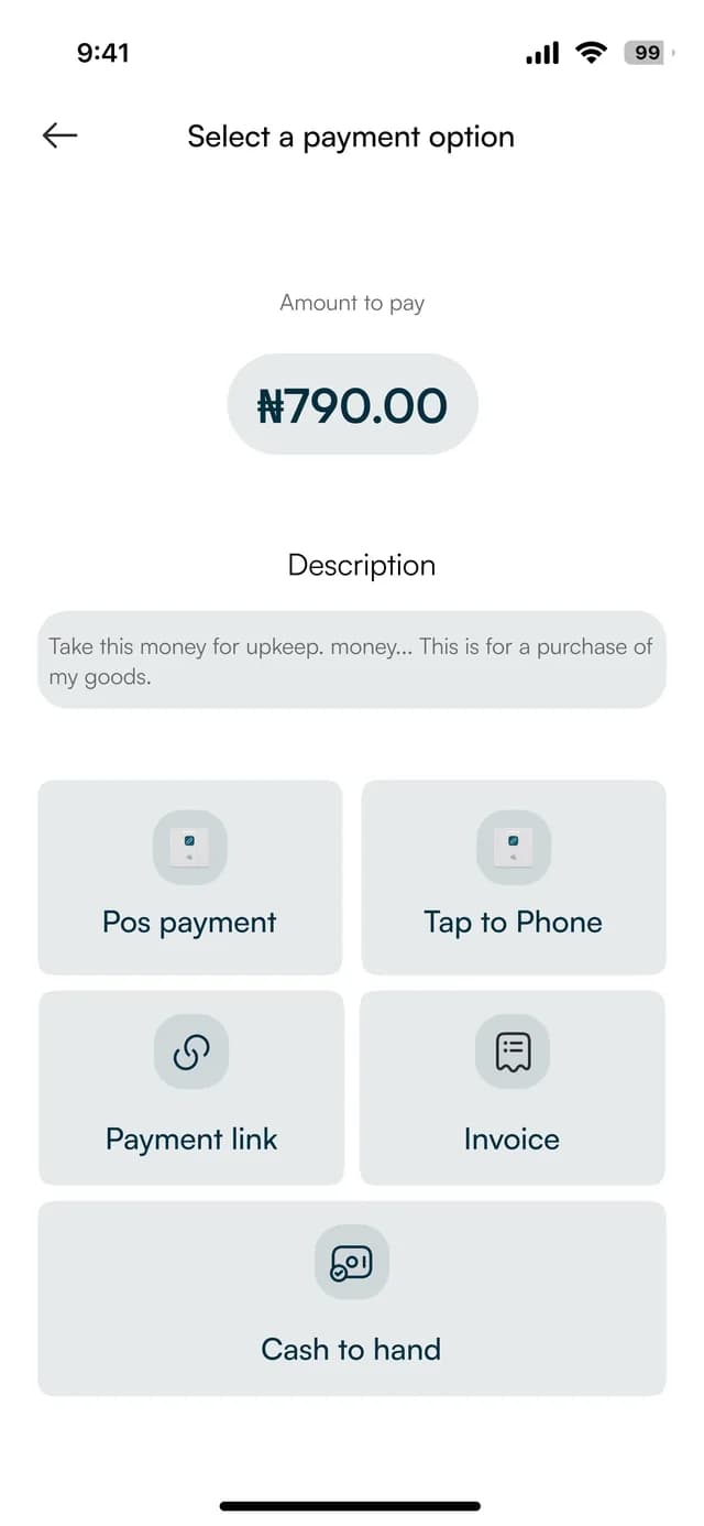 The business app's payment screen offering POS payment, tap to phone, payment link, invoice and cash to hand